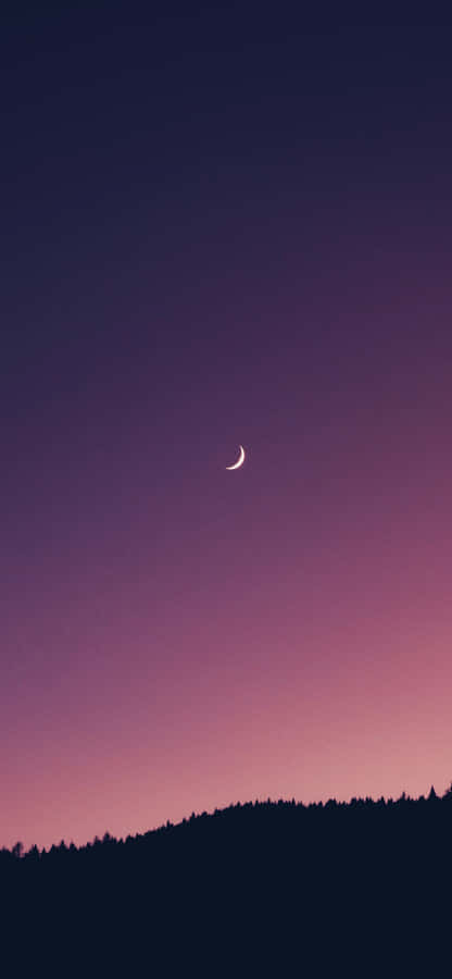Mysterious Moonlight On A Beautiful Night Wallpaper