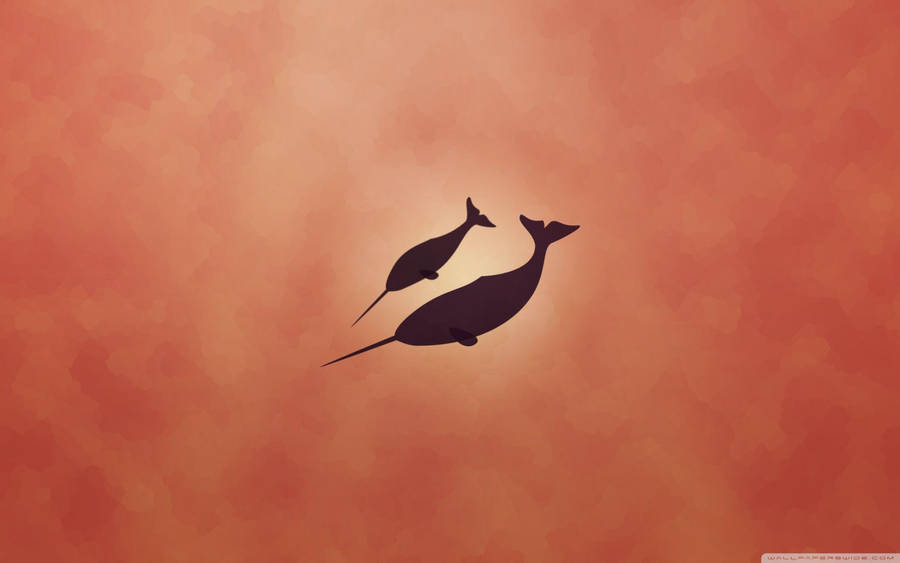 Narwhal Orange Monochrome Wallpaper
