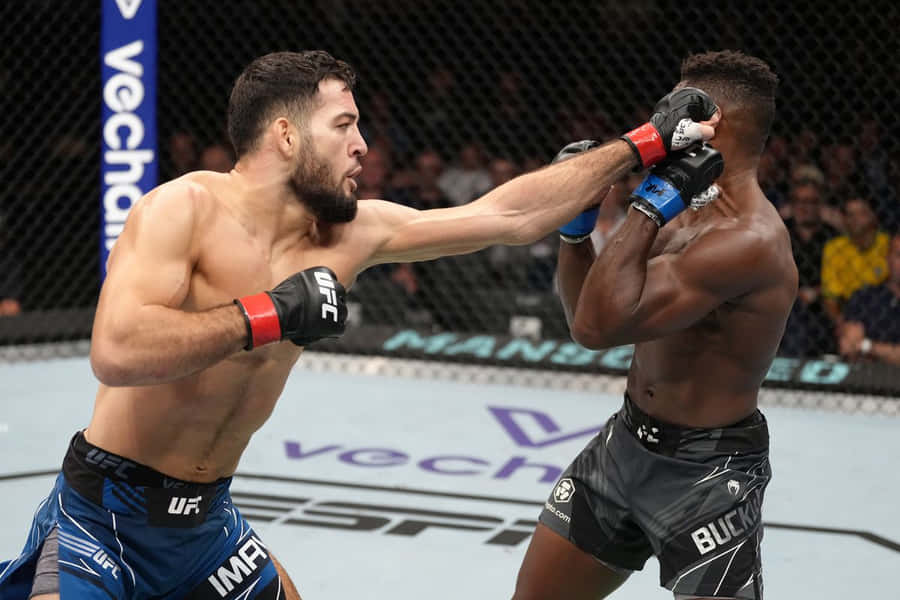 Nassourdine Imavov Punching Joaquin Buckley Wallpaper