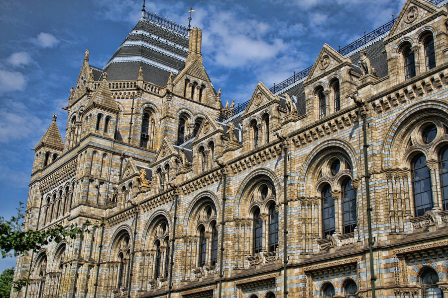 Natural History Museum England Wallpaper