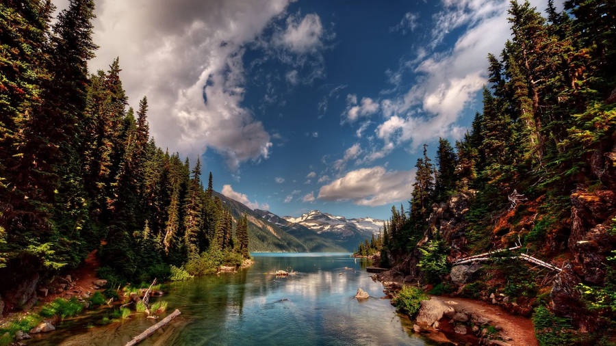 Nature River Bed Photograh Wallpaper