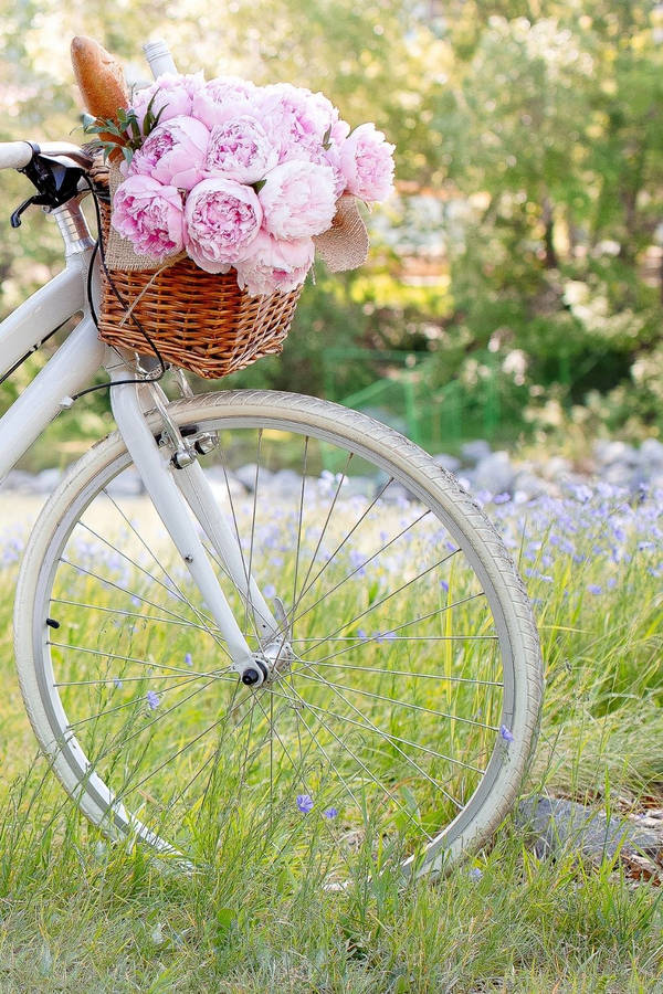 Nature's Beauty: An Aesthetic Spring Wallpaper