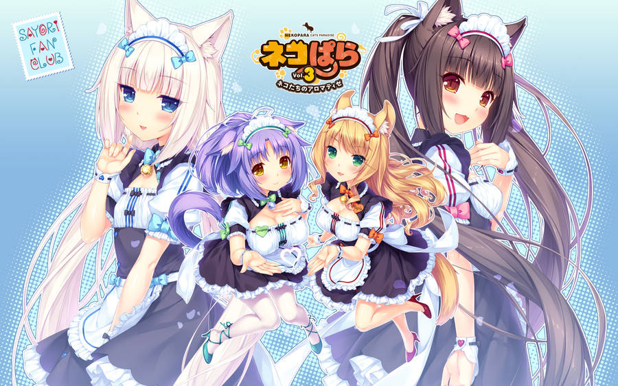 Nekopara Girls Wallpaper