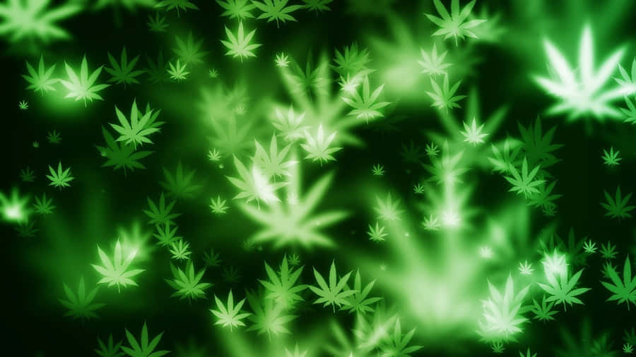 Neon Green Psychedelic Weed Art Wallpaper