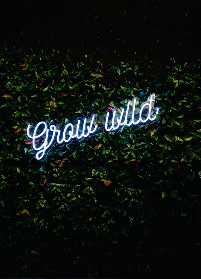 Neon Lights Grow Wild Wallpaper