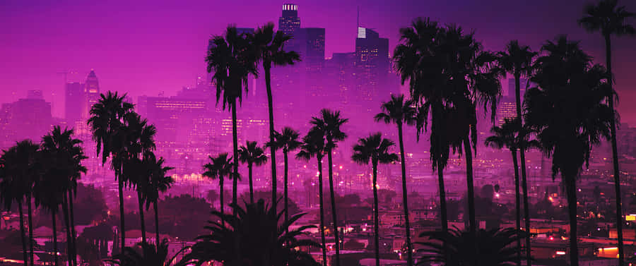 Neon Lights Up The Night In High-definition 3440x1440 Wallpaper