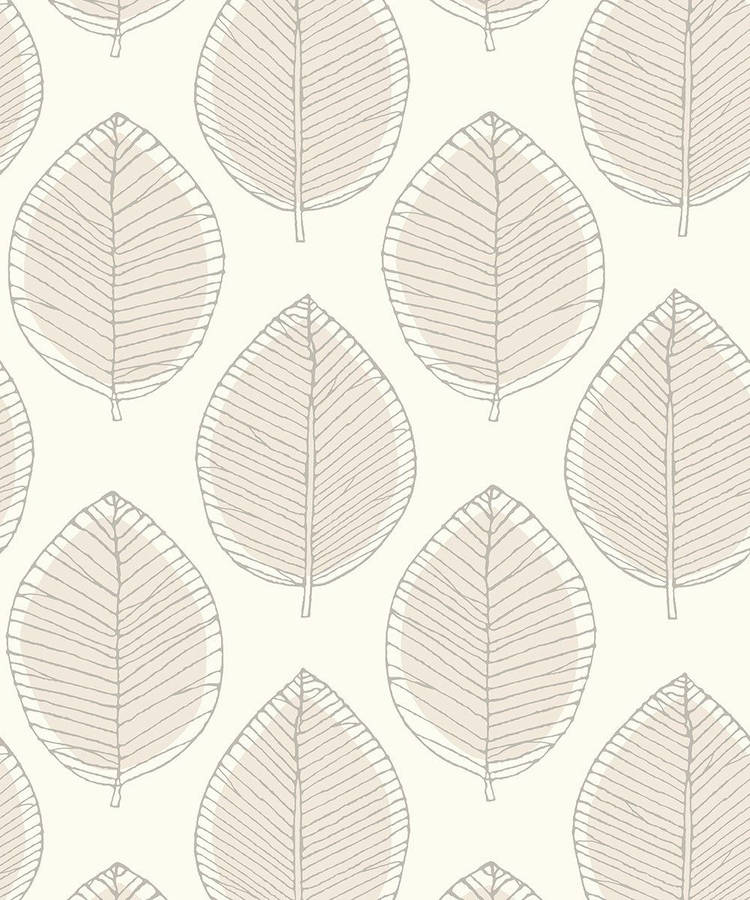 Neutral Iphone Leaf Sketch Wallpaper