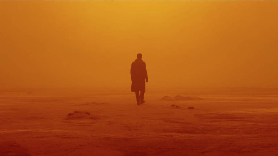 New Characters Join The Cast In Blade Runner 2049 Wallpaper