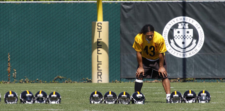 Nfl Safety Troy Polamalu Of The Pittsburgh Steelers Wallpaper
