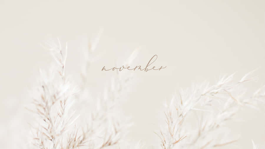 November Desktop White Minimalist Wallpaper
