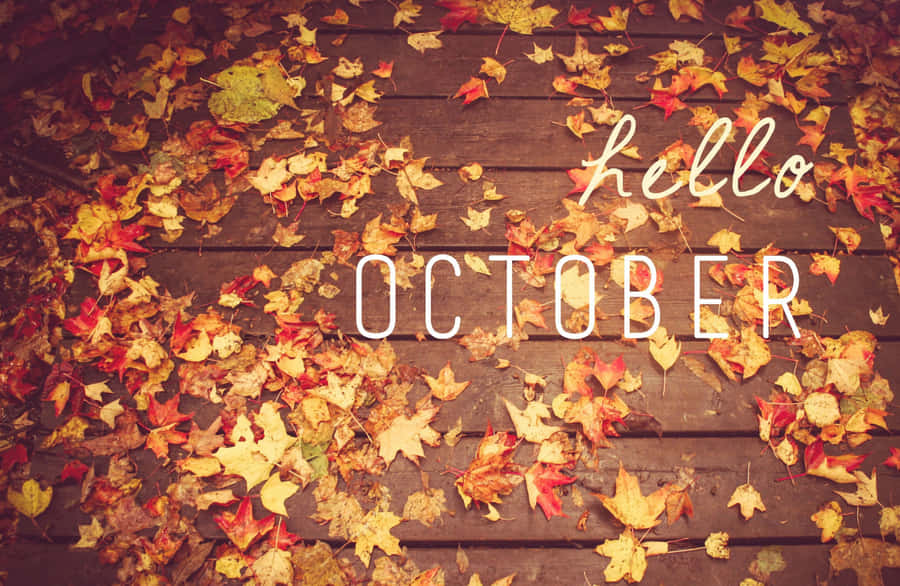 October Aesthetic Orange Brown Autumn Wallpaper