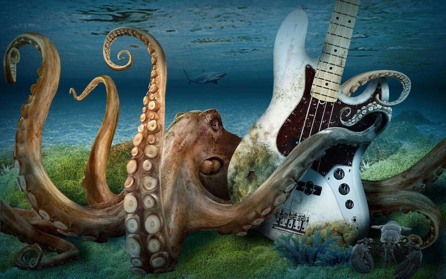 Octopus With Electric Guitar Wallpaper