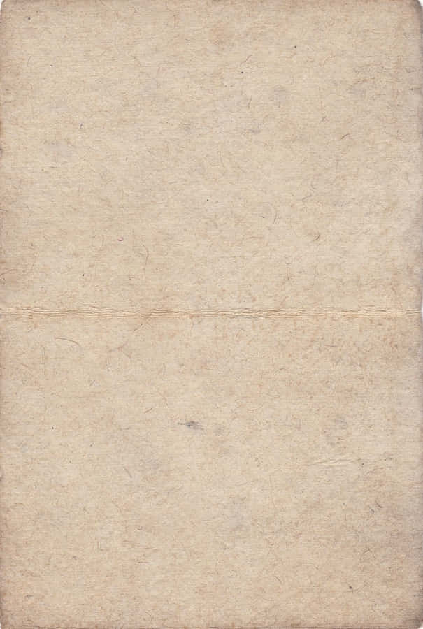 Old Paper Texture Light Gray Parchment Wallpaper
