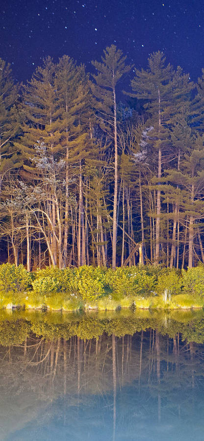 Ominous Lakeside In The Nighttime Wallpaper