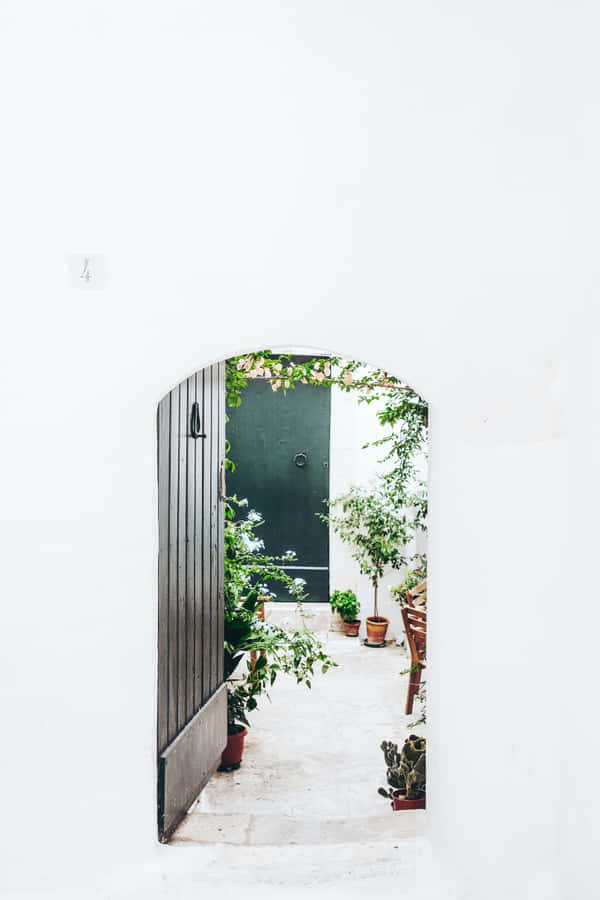 Open Door To Small Outdoor Garden Wallpaper