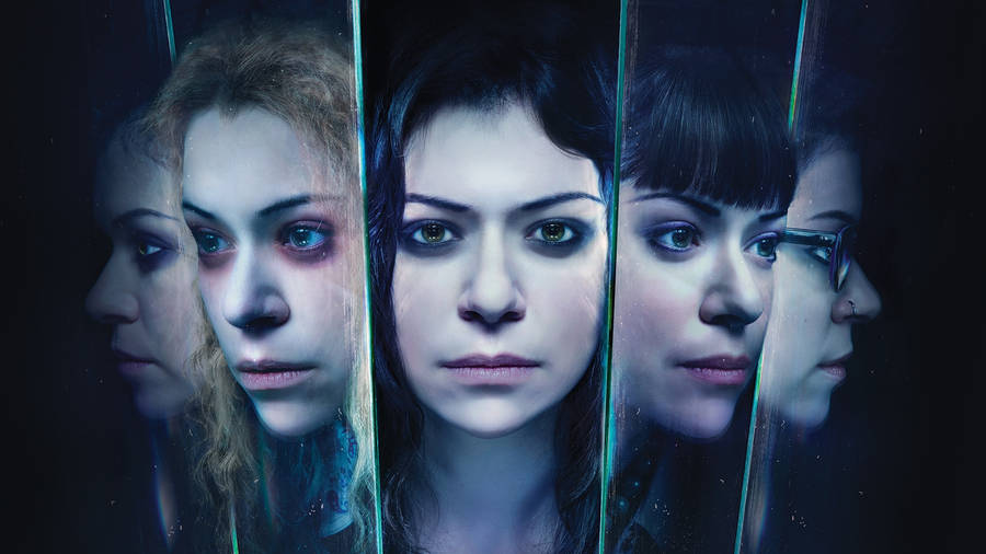 Orphan Black Fictional Clones Of Sarah Manning Wallpaper