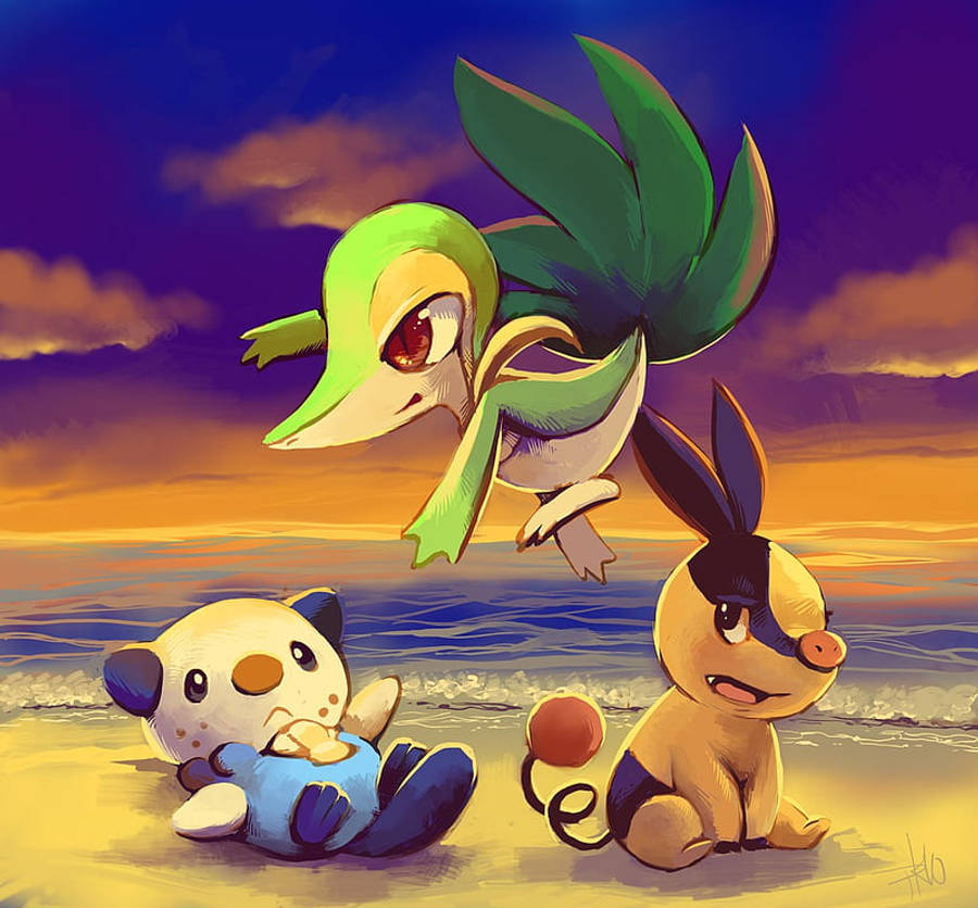 Oshawott On The Seashore Wallpaper