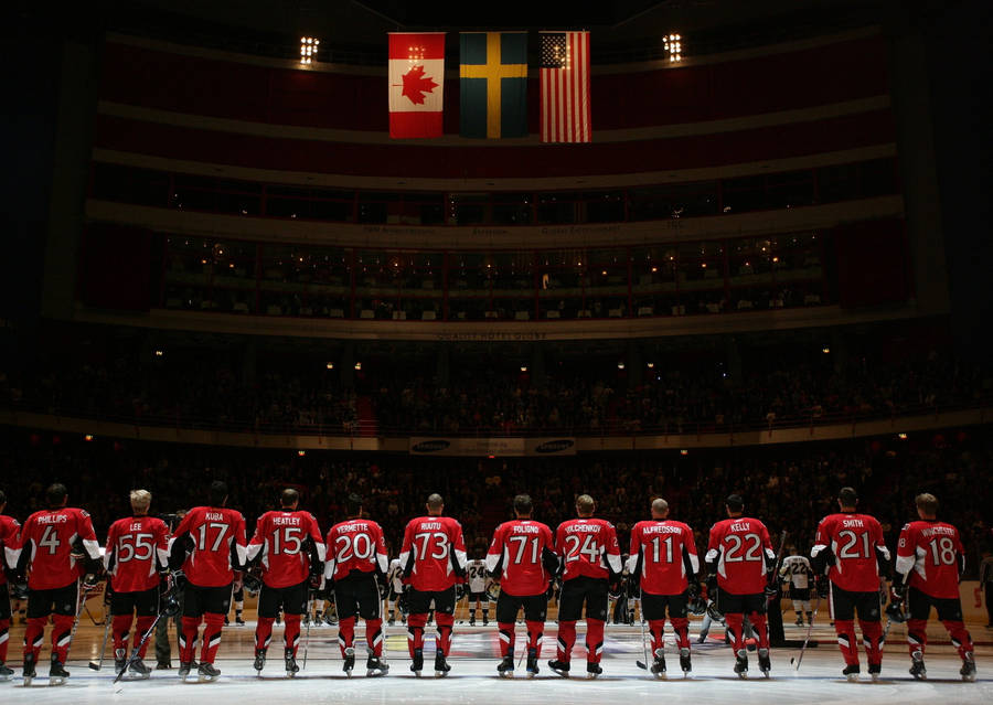 Ottawa Senators Back View Wallpaper