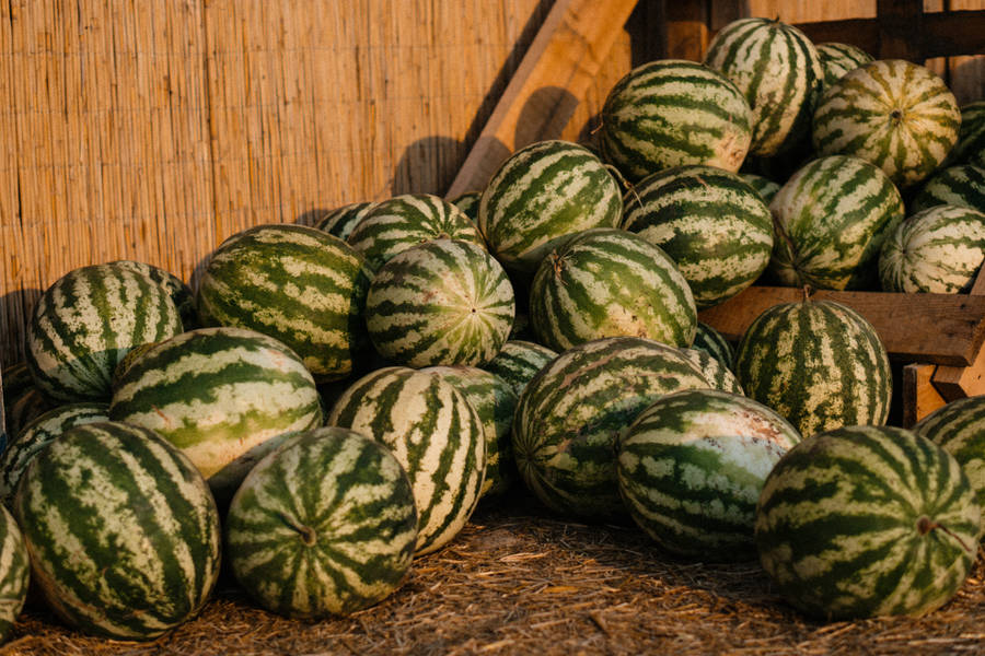 Outdoor Watermelon Pile Wallpaper