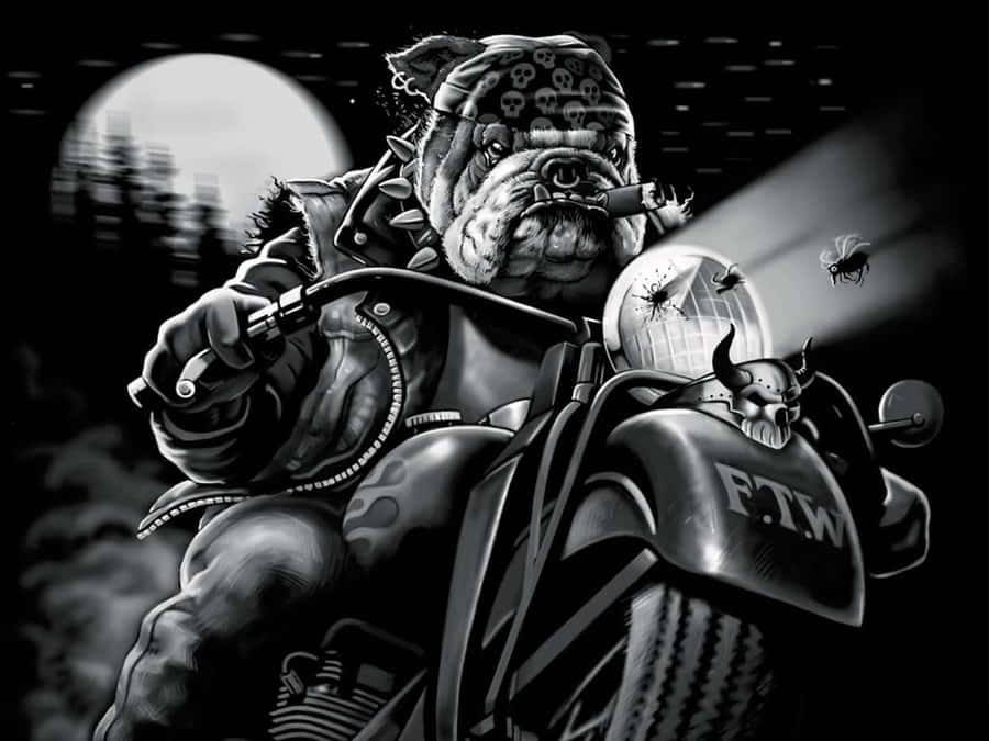 Outlaw Dog Motorcycle Night Wallpaper