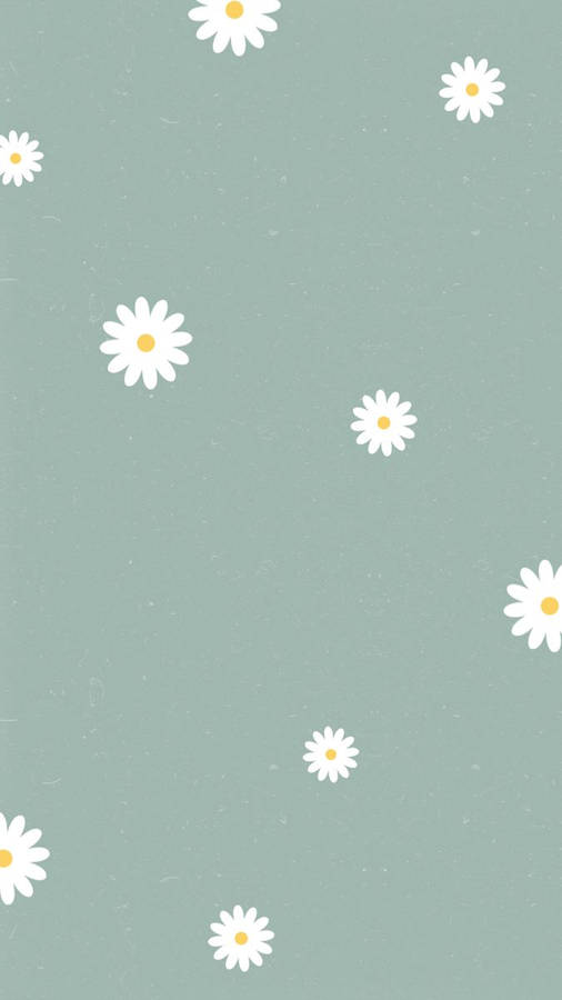 Pale Green White Daisy Aesthetic Wallpaper