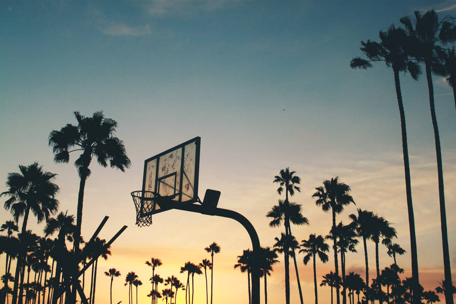 Palm Tree Sunset Basketball Hoop Wallpaper