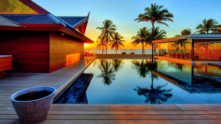 Palm Tree Sunset Pool House Wallpaper