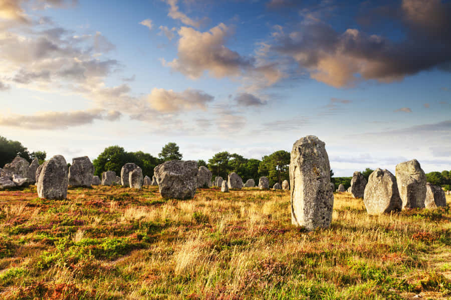 Panoramic View Of The Majestic Carnac Stones Wallpaper