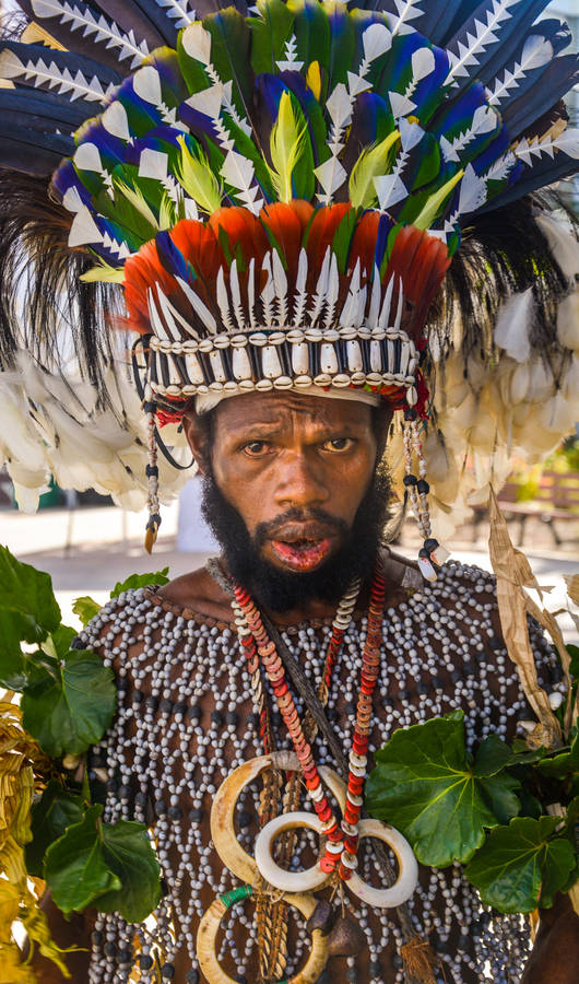 Papua New Guinea Tribal Costume Wallpaper