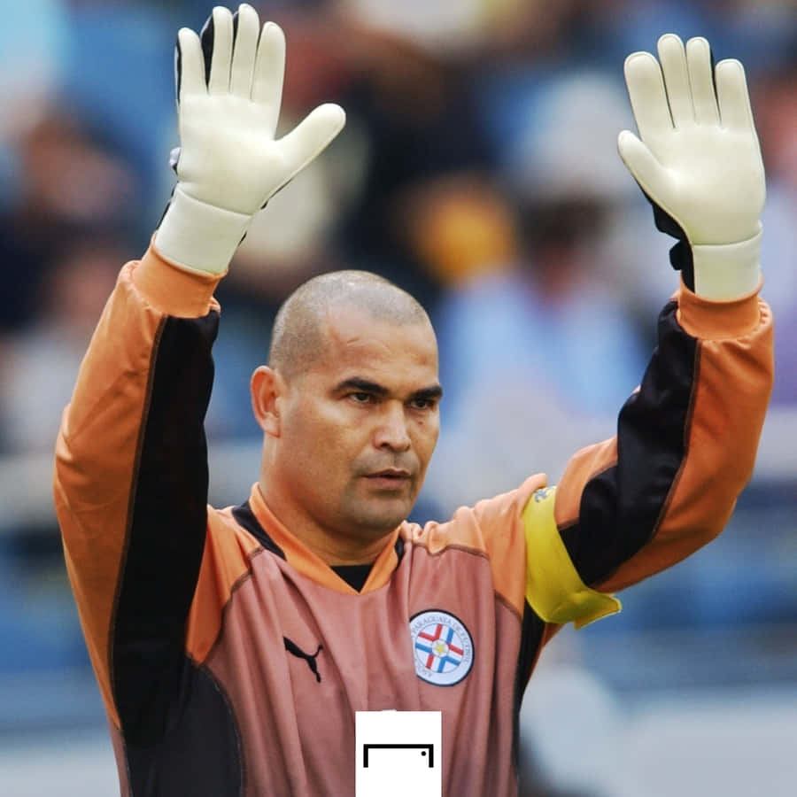 Paraguayan Football Goalkeeper Jose Luis Chilavert At 2002 World Cup Wallpaper