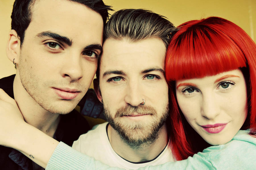 Paramore Taylor, Jeremy And Hayley Wallpaper