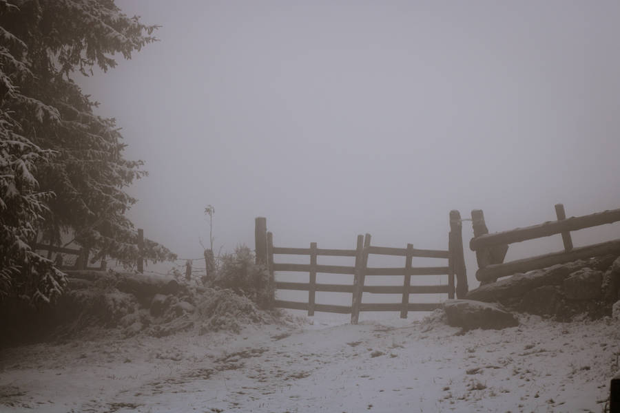 Paranormal Foggy Winter Farm Wallpaper