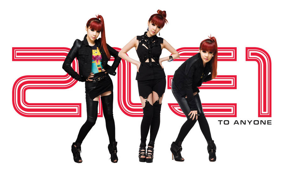 Park Bom 2ne1 To Anyone Wallpaper