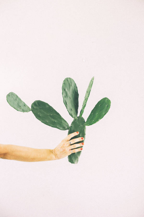 Pastel Color Hand Pick Cactus Mobile Wallpaper
