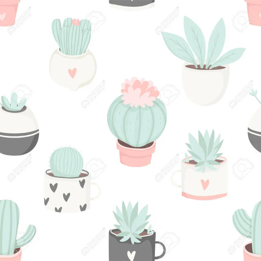Pastel Various Cactus Wall Art Wallpaper