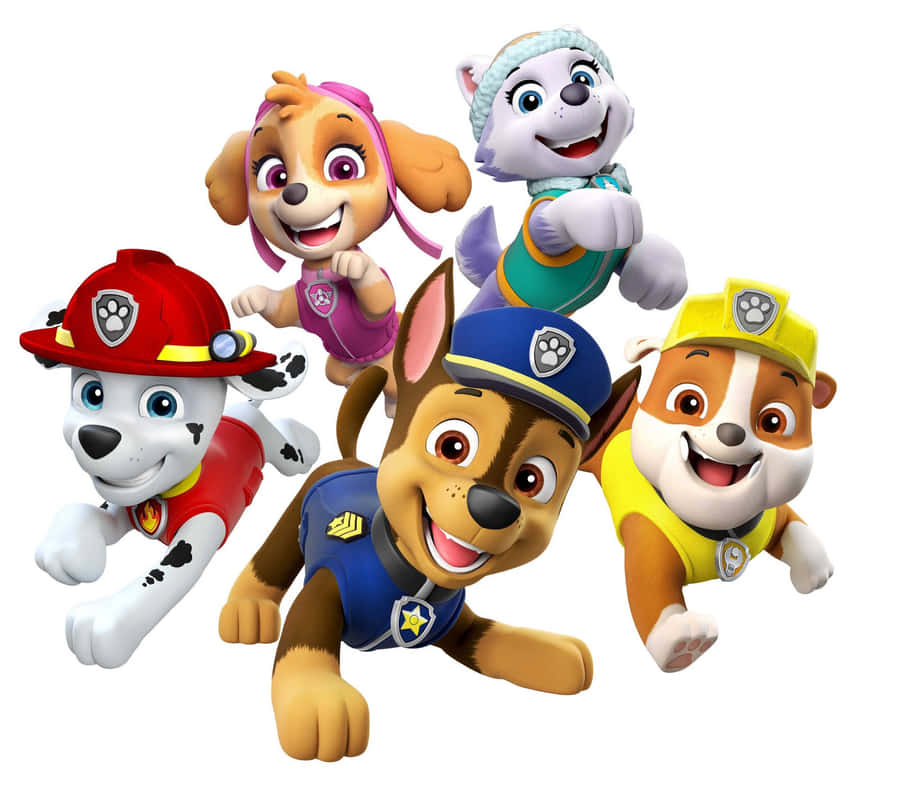 Paw Patrol Characters Group Image Wallpaper