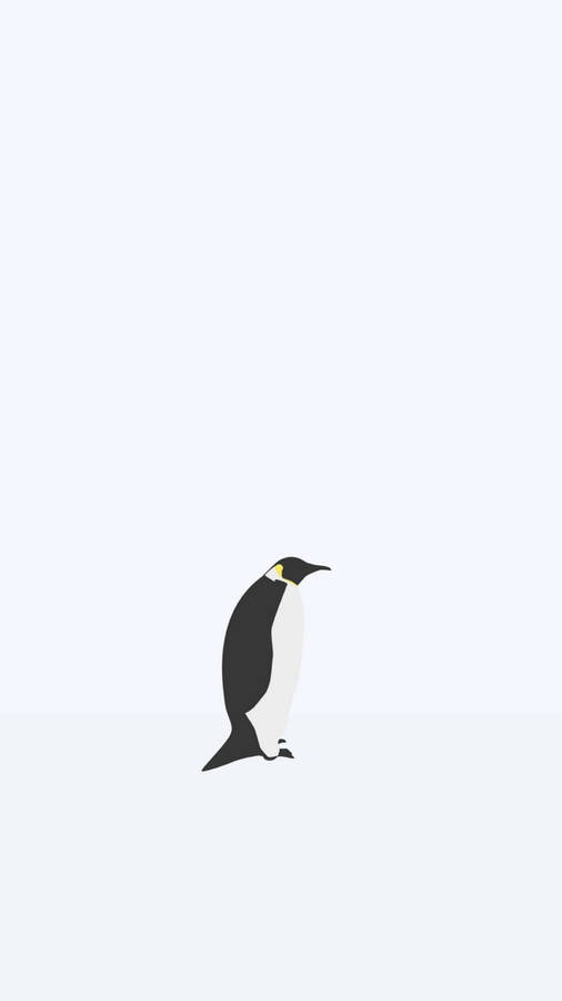 Penguin Animal Vector Art Wallpaper