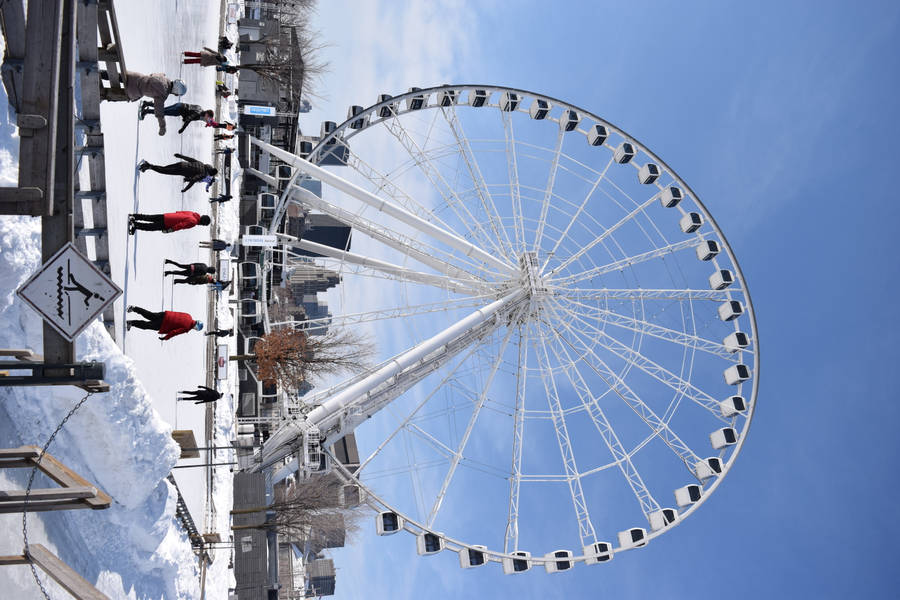 People On Ice Skating Near Ferris Wheel During Day Wallpaper