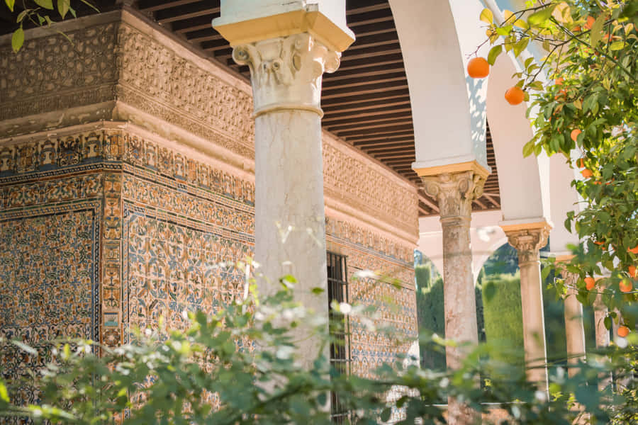 Pillars Along The Alcazar De Colon Museum Wallpaper