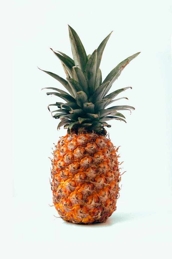 Pineapple Fruit Yellow Body Wallpaper