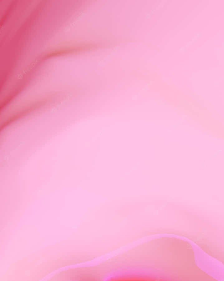 Pink Abstract Background With A Pink Flower Wallpaper