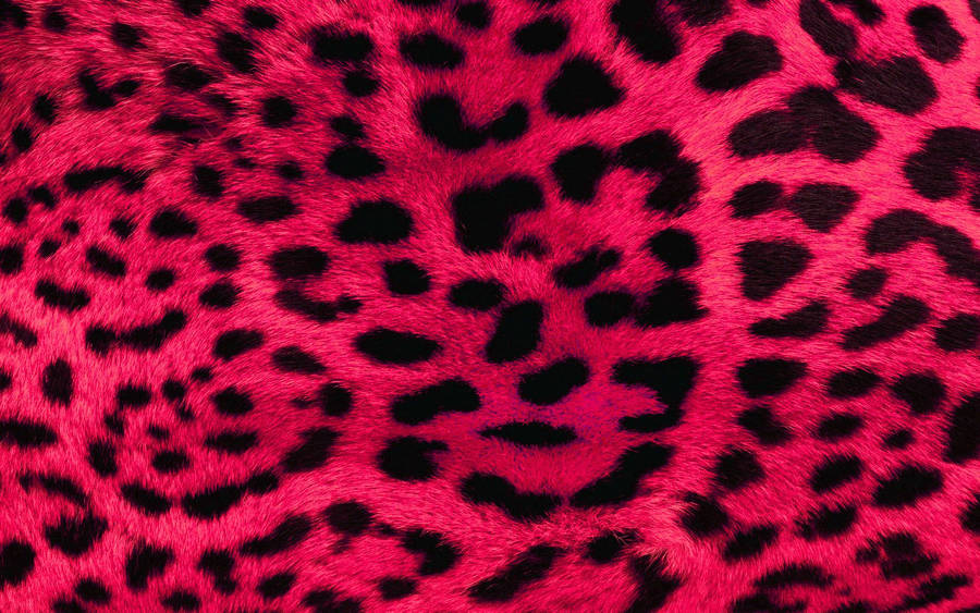 Pink Leopard Print Fur Wallpaper