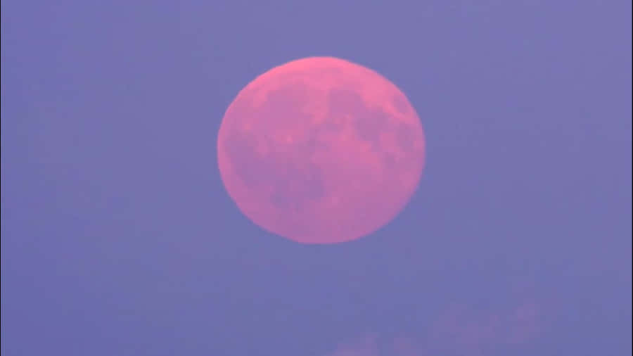 Pink Moon High In The Sky Wallpaper
