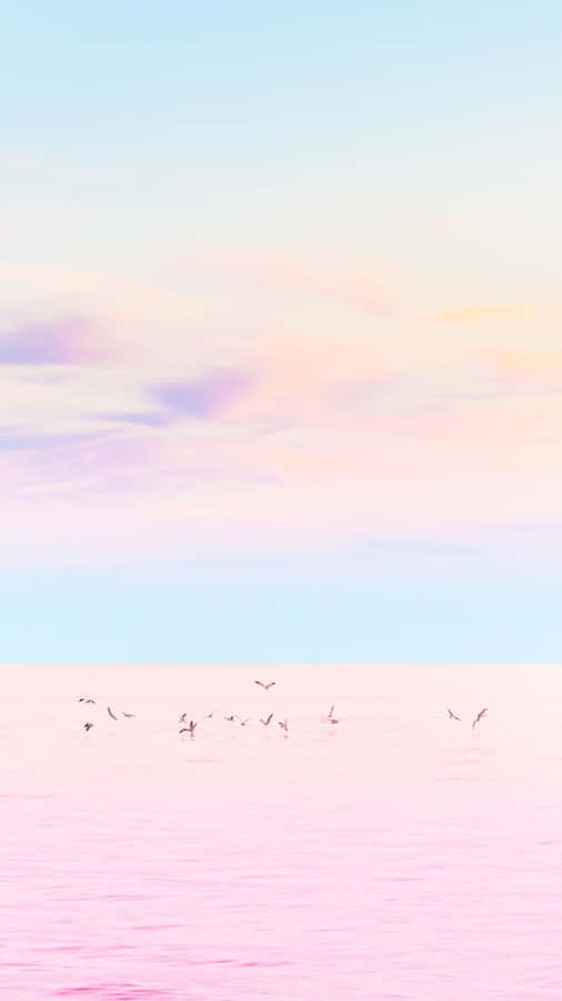 Pink Seagulls Flying Over The Ocean Wallpaper