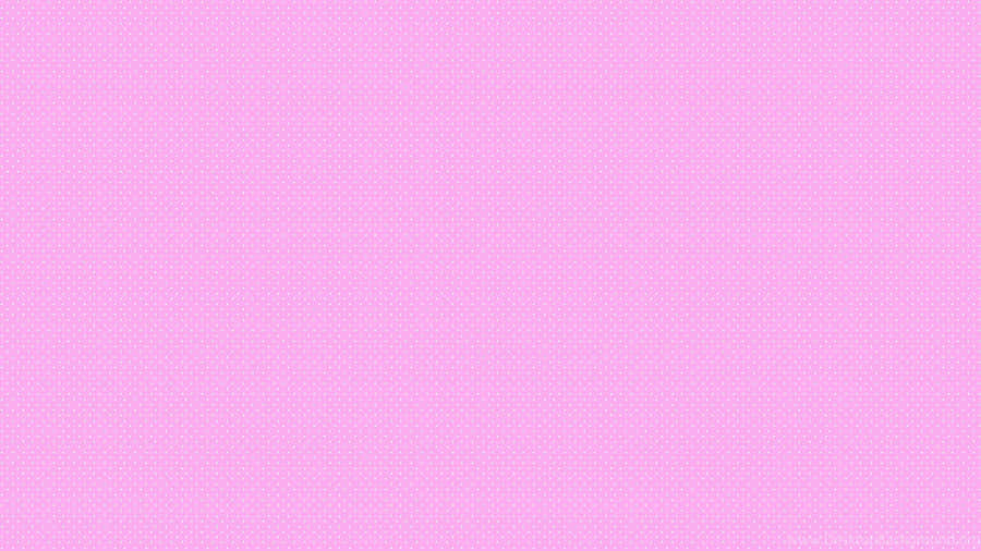Pink Solid Color Blush Wallpaper