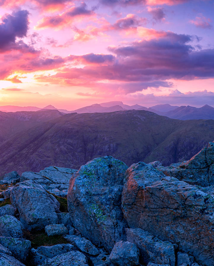 Pink & Violet Scotland Wallpaper