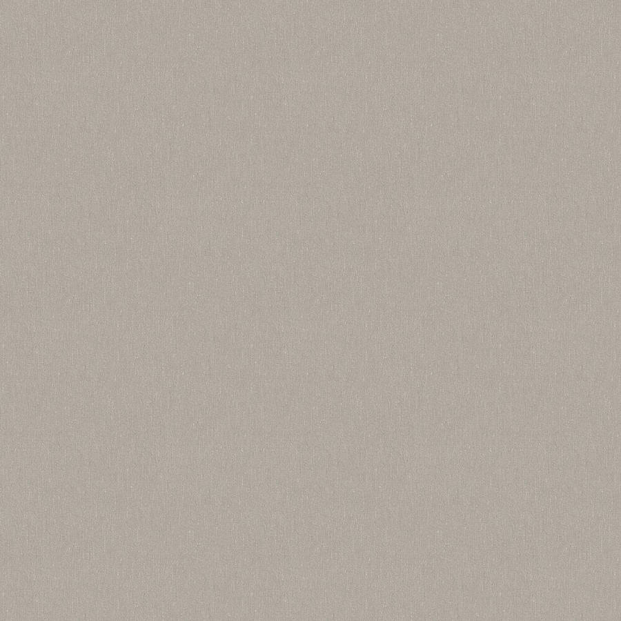 Plain Beige 1000 X 1000 Wallpaper