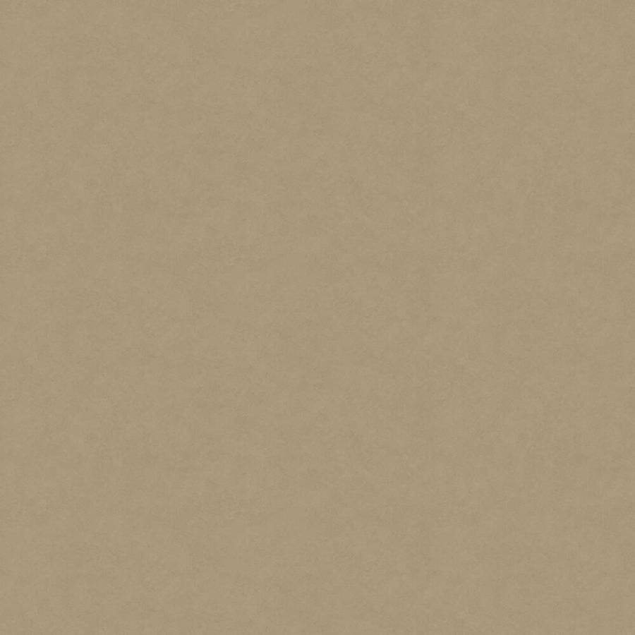 Plain Beige 1000 X 1000 Wallpaper