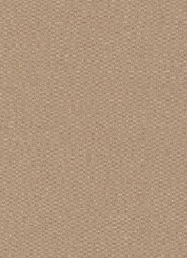 Plain Beige 1159 X 1600 Wallpaper