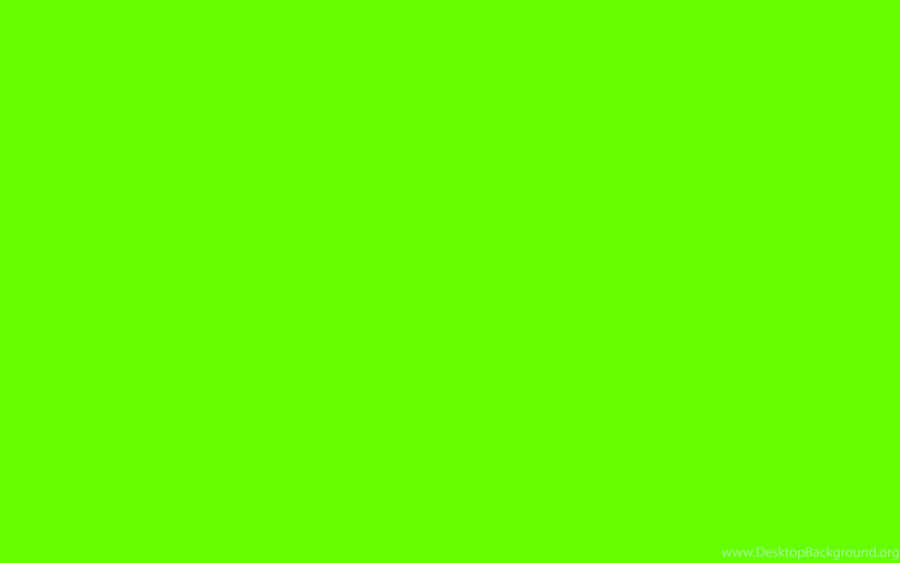 Plain Neon Green Color Computer Wallpaper